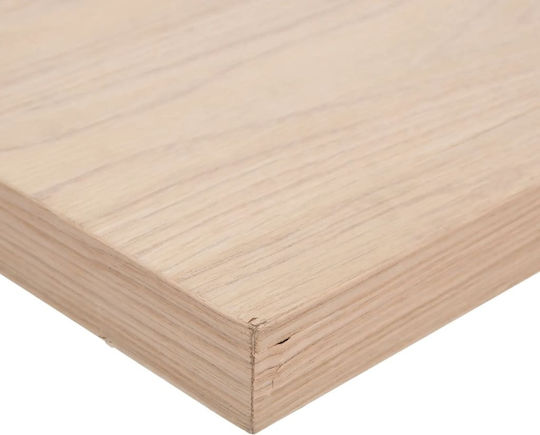 Wandregale Braune 2Stücke 23x23.5x4cm