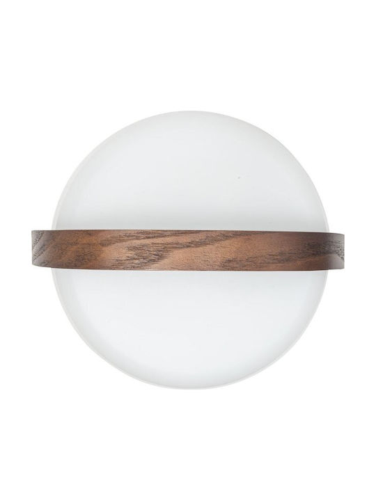 Lite-up Play Jbl Kooduu Speaker Lamp