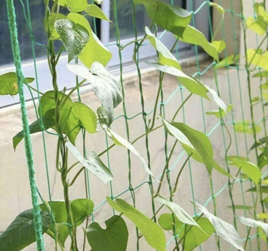 Climbing Plant Net Zola Cucumbers Peas Beans Other Vegetables Uv Resistant 2x 10 M