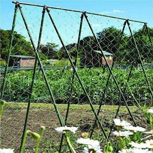 Climbing Plant Net Zola Cucumbers Peas Beans Other Vegetables Uv Resistant 2x 10 M