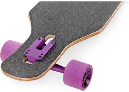 Raven Complete Longboard Πολύχρωμο