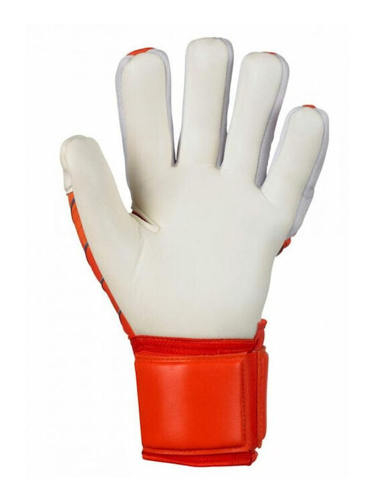 Select Sport Grip V24 Mănuși portar Adulți Portocaliu
