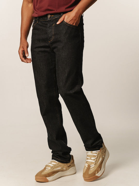 Edward Jeans Men's Jeans Pants in Straight Line Black