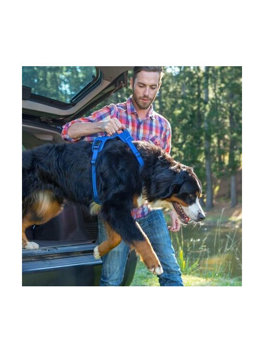 Rogz Explore Harness Πράσινο Small / Medium / Large / X-Large Rogz Explore Harness Πράσινο Small / Medium / Large / X-Large