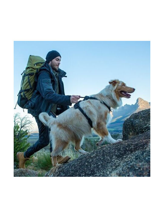 Rogz Σαμαράκι Σκύλου Explore Harness Πράσινο Small / Medium / Large / X-Large RGSJX14H