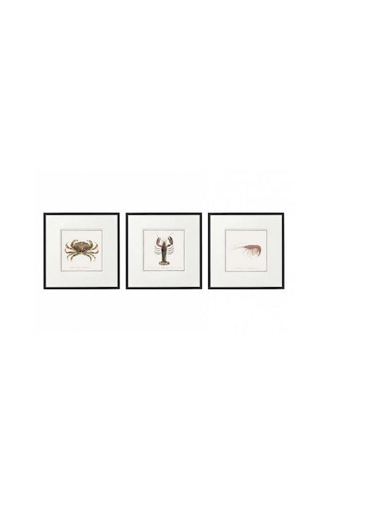 Atmosphera Frame on Canvas 3σχ. 40x40cm