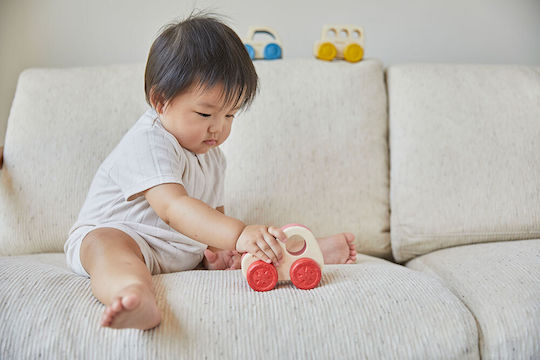 Plan Toys Jucărie de Tras (Diverse modele) 1 buc