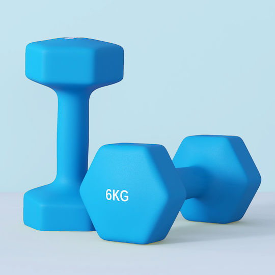 Sportnow Βαράκι Εξάγωνο 1 x 6kg
