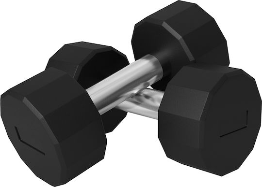 Sportnow Βαράκι 1 x 10kg