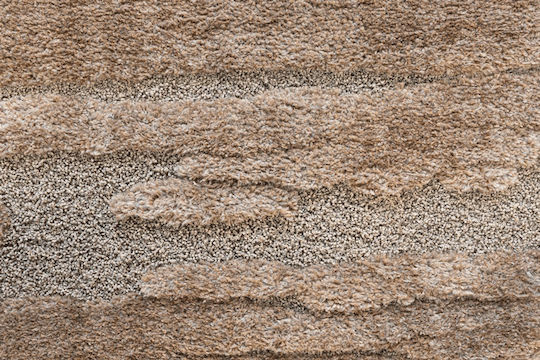 Ragolle Limba Χαλί Διάδρομος Limba 80x150cm