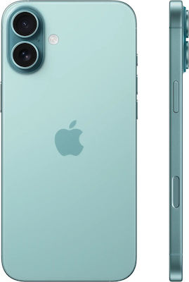 Apple iPhone 16 Plus 5G (8GB/256GB) Teal