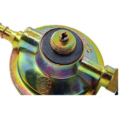 Proton Gas Regulator