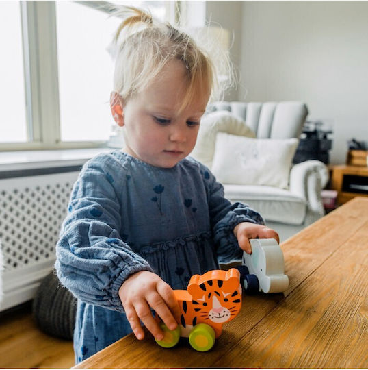 Orange Tree Toys Избутване насам-натам Тигър от дърво за 18++ месеца