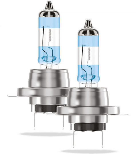 Alca Halogen Lamp H7 200% More Light Bulb Vehicle Lamp Car Lighting 12v 55w Base Px26d 2 Pieces