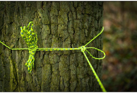 Atwood Ropes Mfg 550 Paracord 100 Fuß US Braun