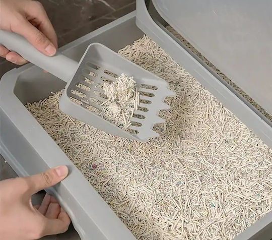 Cat Toilet Closed with Filter and Sieve Purple L40 x W50 x H40cm