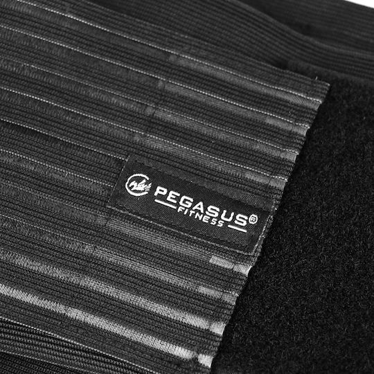 Pegasus Spiral Waist Support Belt 2103