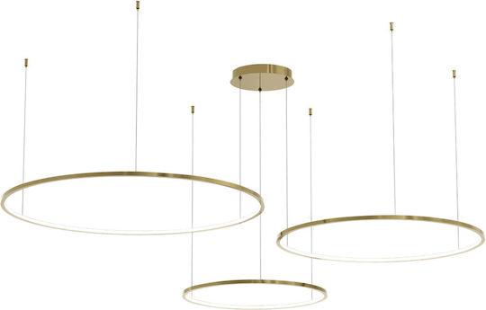 Eko Light Hängelampe Gold