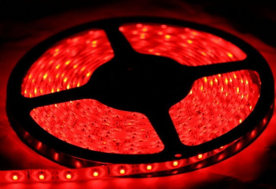 Red LED Strip 60xLED 12V Length 1m