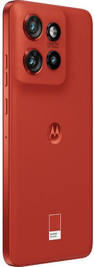 Motorola Edge 50 Neo 5G (12GB/512GB) PANTONE Poinciana
