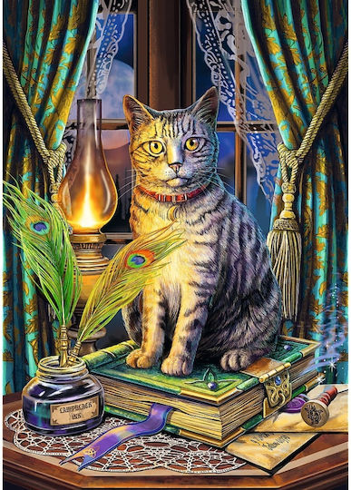 Puzzle Trefl 1000 Premium Plus Umbre de Cărți