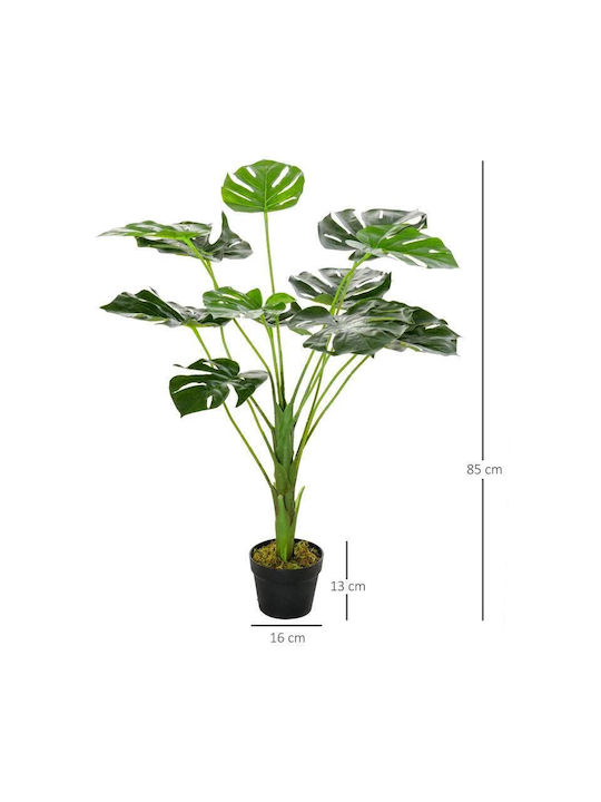 Μονστέρα σε Γλάστρα 85cm