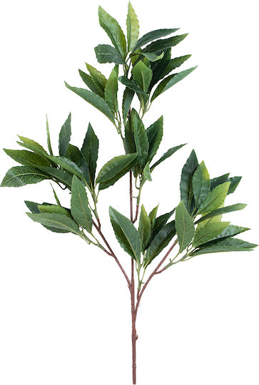 Globostar Künstlicher Garten Laurus Nobilis Zweig 20225 10 x Künstliche Dekorative Lorbeerzweige W45 x H60cm