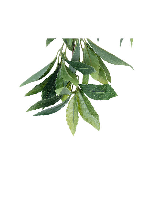 Globostar Artificial Garden Laurus Nobilis Branch 20225 10 X Artificial Decorative Bay Branches W45 X H60cm