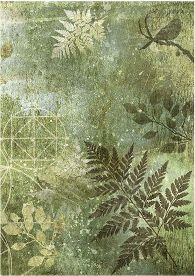Σετ 8 Ριζόχαρτα Ντεκουπάζ Stamperia 10.5×14.8cm Backgrounds Forest