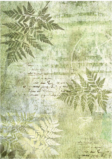 Σετ 8 Ριζόχαρτα Ντεκουπάζ Stamperia 10.5×14.8cm Backgrounds Forest