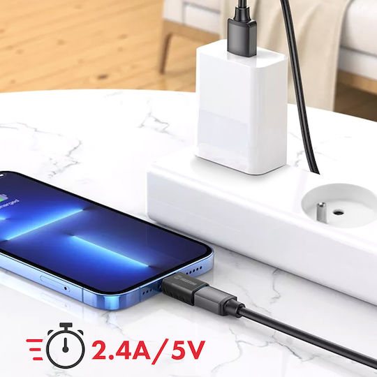 Swissten Konverter Blitzschlag männlich zu USB-A weiblich 1Stück 55500300