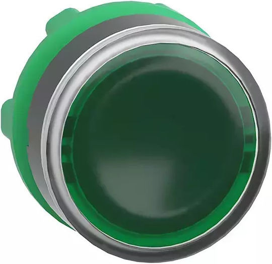 Schneider Electric On-Off switch Pushbutton with Lighting Φ22 Green 1pcs