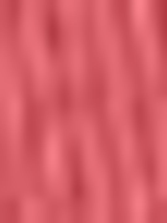 Marine Bra with Light Padding Underwire Marine Mineral Red