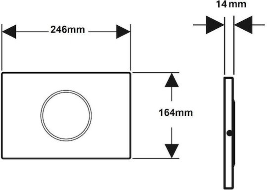 Geberit Flush Plate Dual Flush