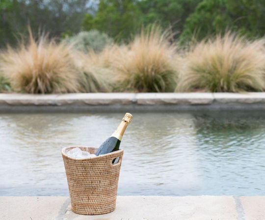 Andrea House Einfache Champagners Kunststoff mit Abmessungen 26x26x25cm