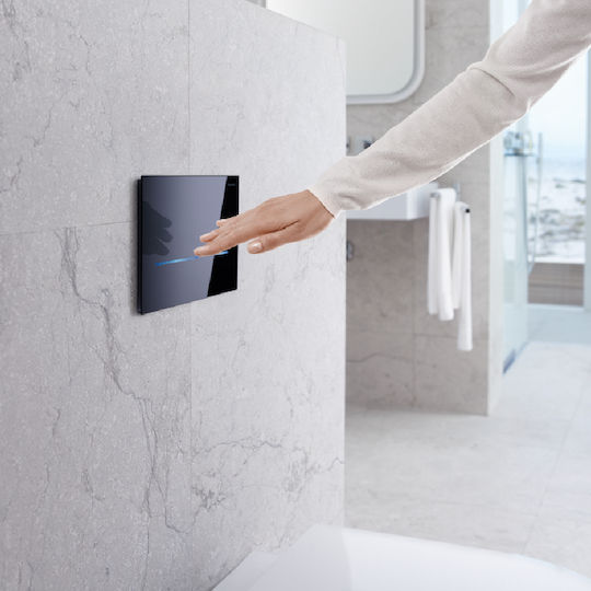 Geberit Flush Plate Dual Flush