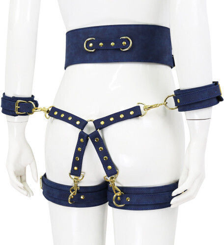 Naughty Toys BDSM Kit in Blau Farbe 6Stück