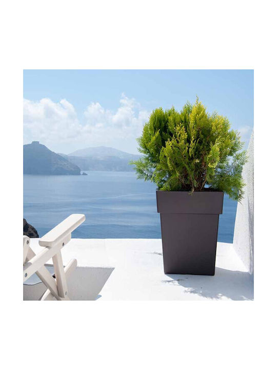 Homestyle Γλάστρα Πλαστική Μωβ 17εκ.