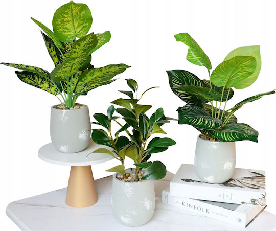 Artificial Plant in Small Pot Calathea 37cm