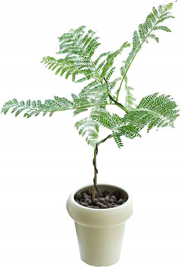 Artificial Plant in Pot Mimosa 110cm
