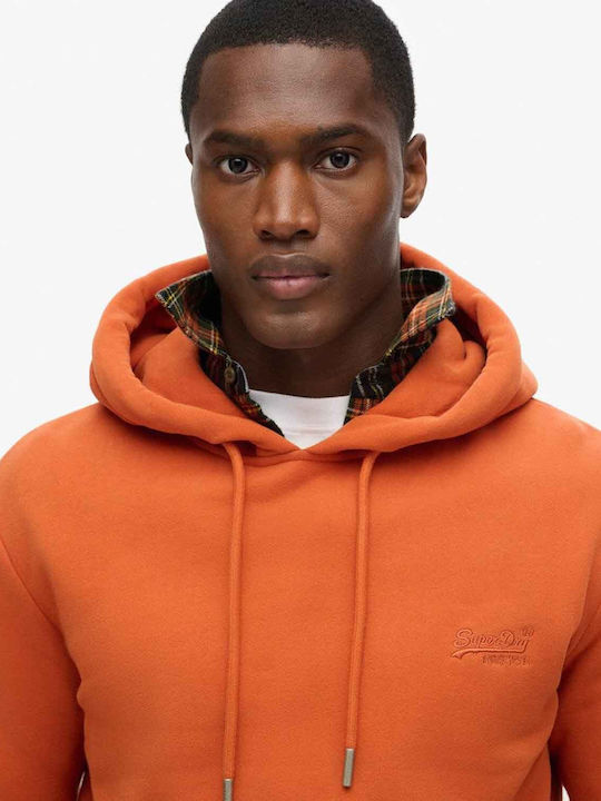 Superdry Logo Men's Sweatshirt with Hood brown