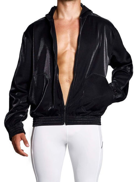 Modus Vivendi Modus Vivendi