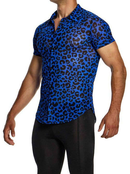 Modus Vivendi