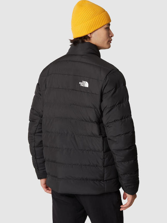 The North Face The North Face