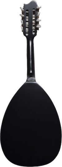 Acoustic Mandolin