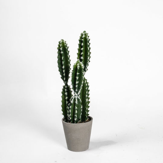 Изкуствено растение в саксия Кактус Еуфорбия Caerulescens Green 50см Supergreens