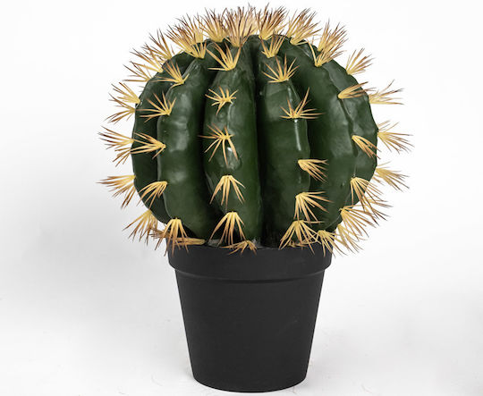 Κάκτος σε Γλάστρα 52cm Supergreens
