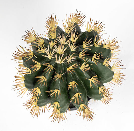Κάκτος σε Γλάστρα 52cm Supergreens