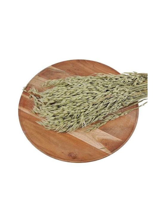 Dried Plant Beige HBX DECO B.V.