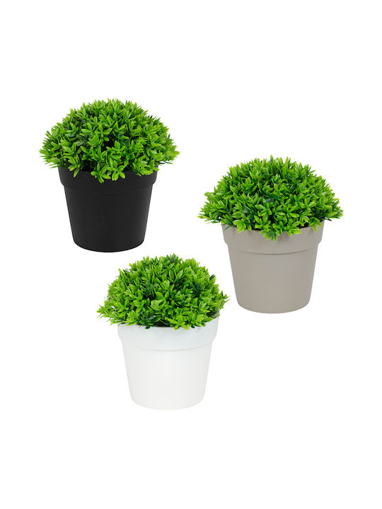 Viosarp Artificial Plant in Small Pot 13cm (Various Colors)